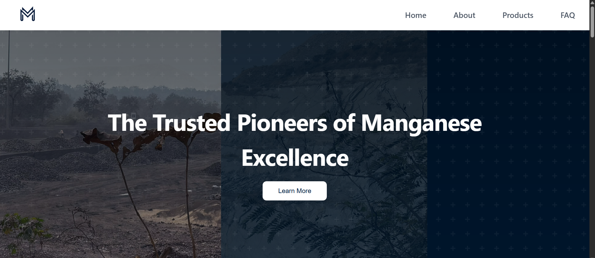Mahavir Minerals